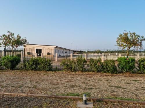 Outdoor Pictures 12