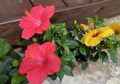 Outdoor Pictures 24