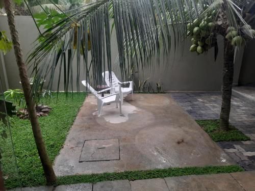 Outdoor Pictures 11