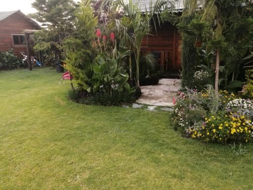 Outdoor Pictures 24