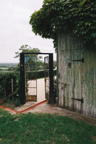 Outdoor Pictures 9
