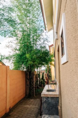 Outdoor Pictures 23