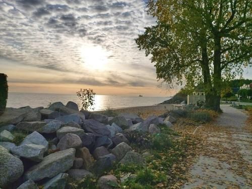 Outdoor Pictures 7