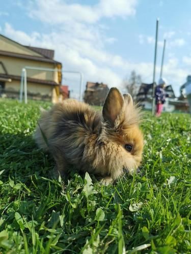 Outdoor Pictures 6