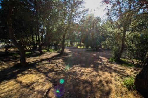 Outdoor Pictures 24