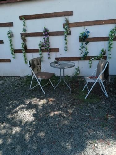 Outdoor Pictures 15