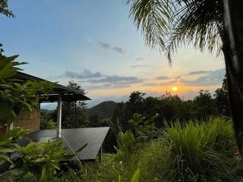 Outdoor Pictures 24