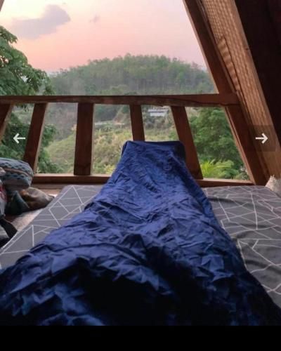 Outdoor Pictures 7