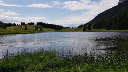 Outdoor Pictures 24