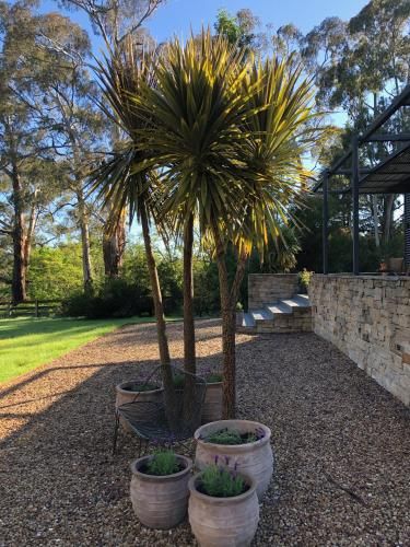 Outdoor Pictures 2