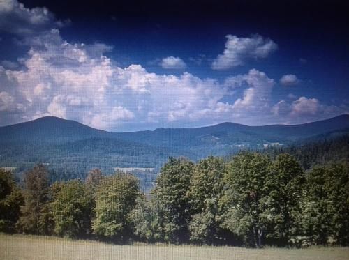 Outdoor Pictures 12