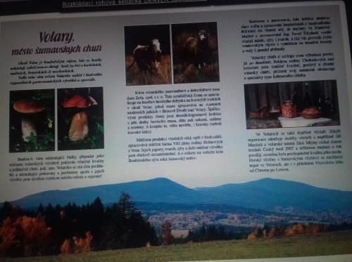 Outdoor Pictures 15