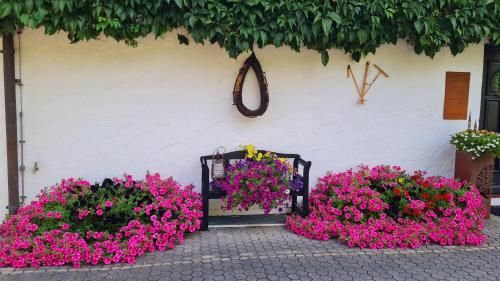 Outdoor Pictures 20