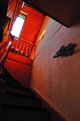Outdoor Pictures 15