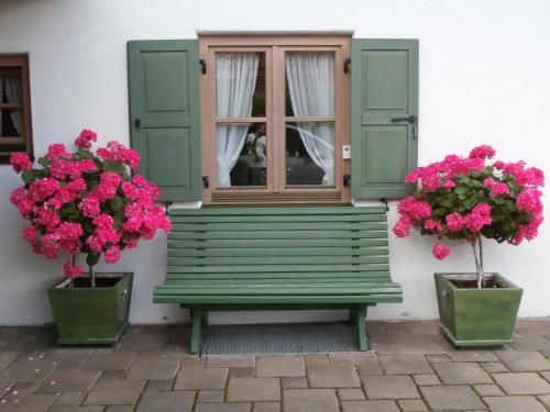 Outdoor Pictures 6