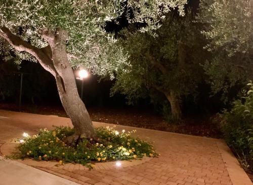 Outdoor Pictures 7