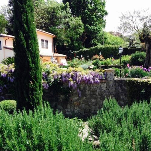 Outdoor Pictures 7