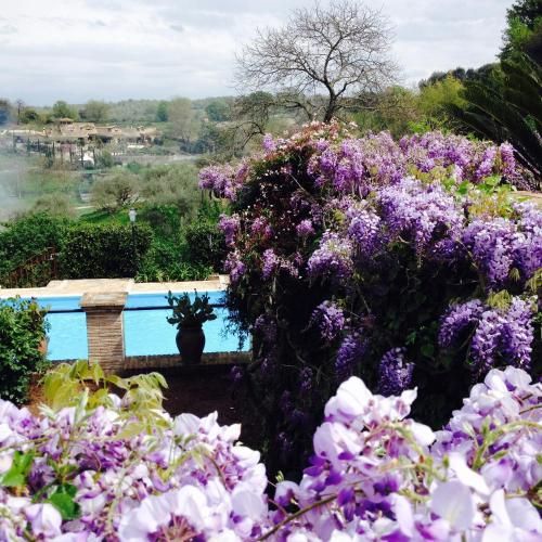 Outdoor Pictures 24