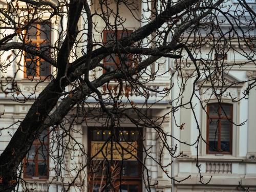 Outdoor Pictures 22