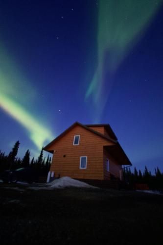 Denali Wild Stay - Bear Cabin with Hot Tub and Free Wifi