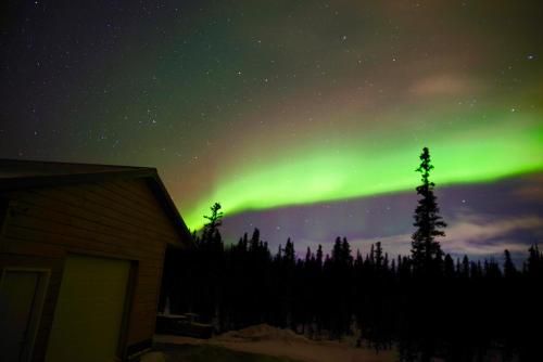 Denali Wild Stay - Bear Cabin with Hot Tub and Free Wifi