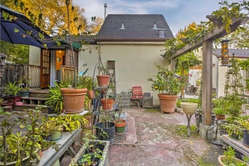 Outdoor Pictures 24