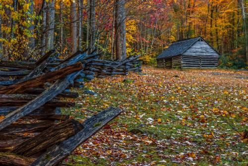 Outdoor Pictures 7