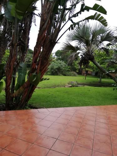 Outdoor Pictures 19
