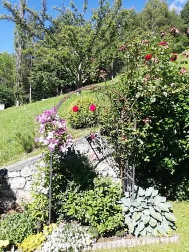 Outdoor Pictures 9