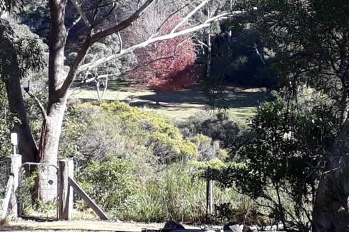 Outdoor Pictures 16