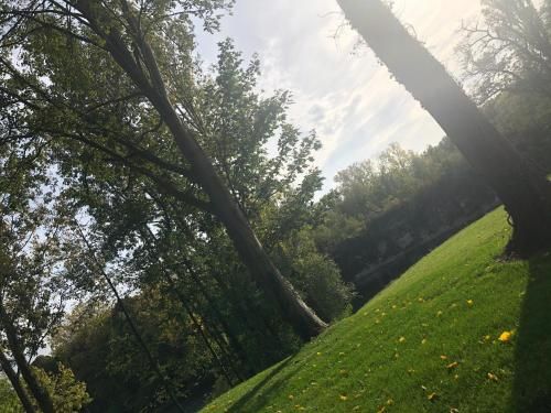 Outdoor Pictures 23