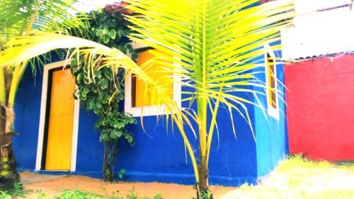 Outdoor Pictures 7