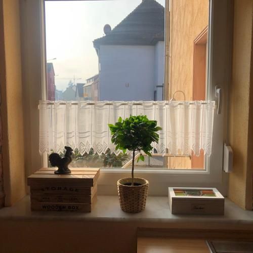 Gemütliches Apartment Garden View