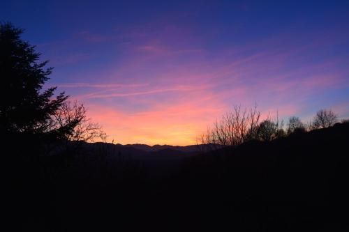 Outdoor Pictures 17