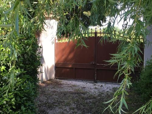 Outdoor Pictures 9