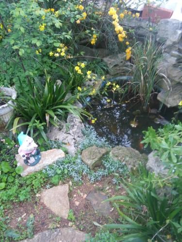 Outdoor Pictures 6