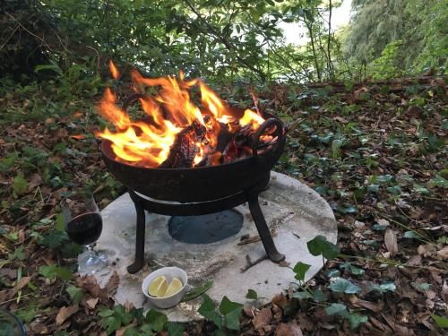 Outdoor Pictures 24