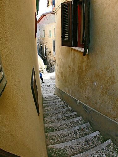 Outdoor Pictures 11