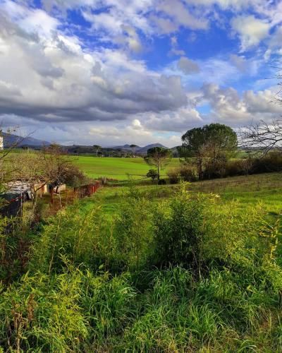 Outdoor Pictures 22