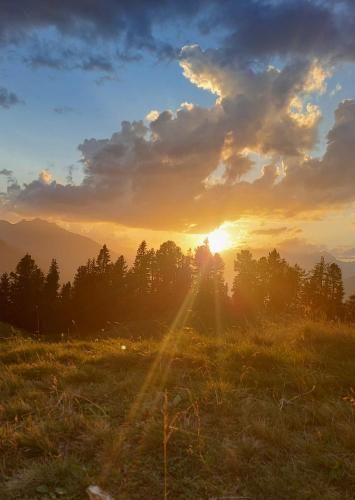 Outdoor Pictures 22