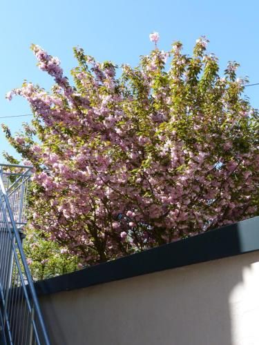 Outdoor Pictures 7