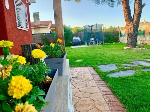 Outdoor Pictures 23