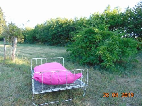 Outdoor Pictures 10
