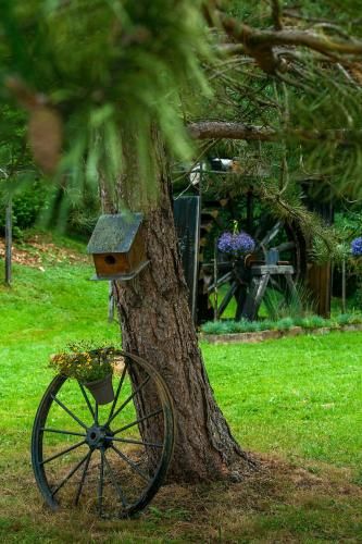 Outdoor Pictures 5
