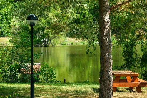 Outdoor Pictures 7