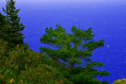 Outdoor Pictures 16