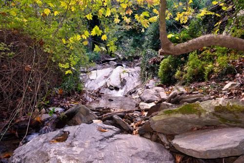 Outdoor Pictures 19