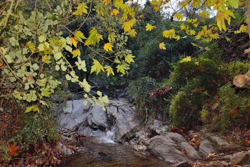 Outdoor Pictures 23