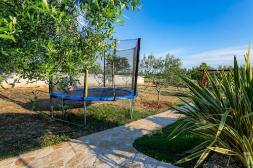 Outdoor Pictures 24