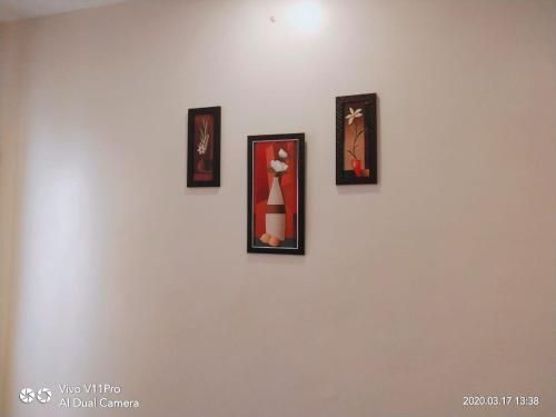 Outdoor Pictures 10
